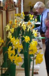 Catisfield 
         Horticultural Society Spring Show 2004 judging 