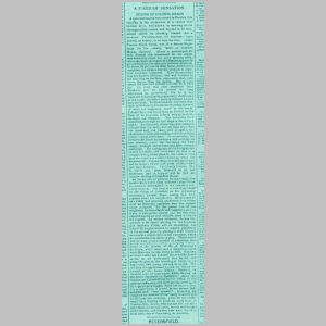 1890ColBracesuicidereport01mod.jpg